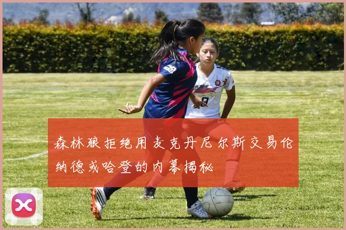 森林狼拒绝用麦克丹尼尔斯交易伦纳德或哈登的内幕揭秘