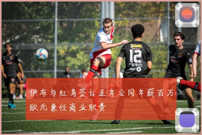 伊布与红鸟签订五年合同年薪百万欧元兼任商业职责