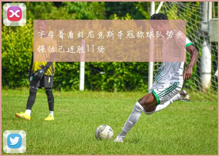 字母哥看好尼克斯夺冠称球队势头强劲已连胜11场